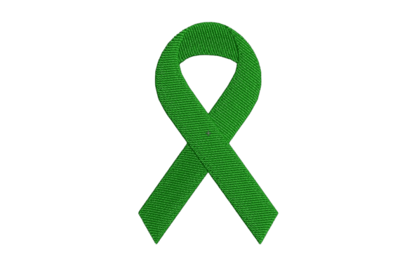 Gallbladder and Bile Ribbon Embroidery Review
